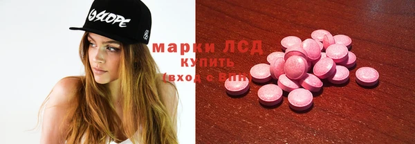 меф Ельня