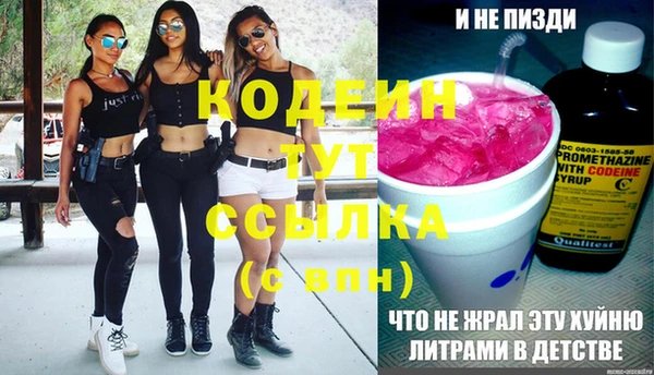меф Ельня