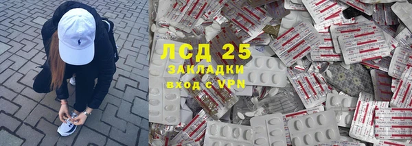 меф Ельня