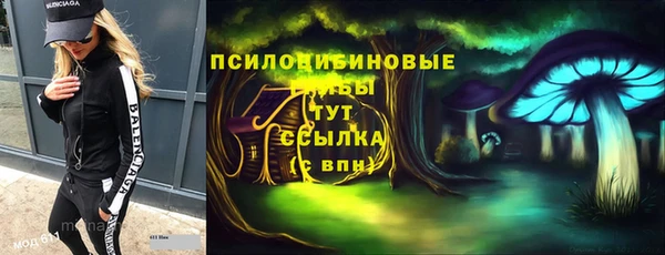 меф Ельня