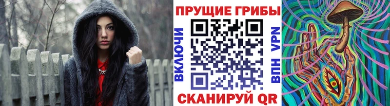 Купить закладки  Тутаев  Псилоцибиновые грибы Cubensis 